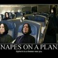 Snapes on a plane!