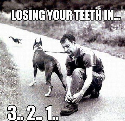 losing teeth - meme