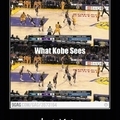 Oh Kobe