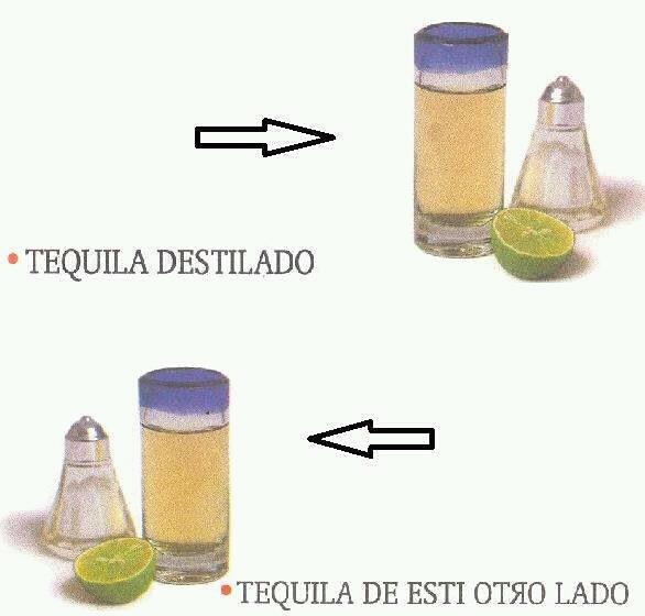 tequila destilado - meme