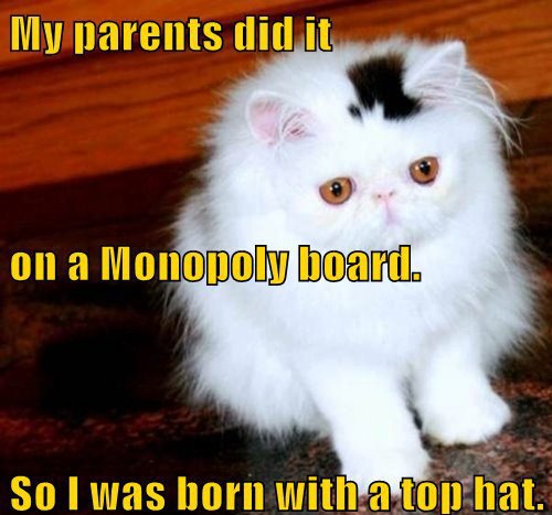 Monopoly Kitty - meme