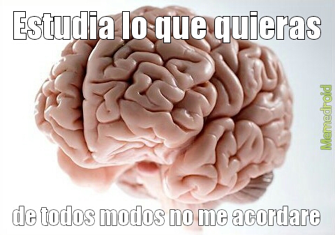 Cerebro malo - meme