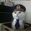 Captain Kitty
