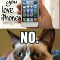 grumpy cat don't like iPhones.