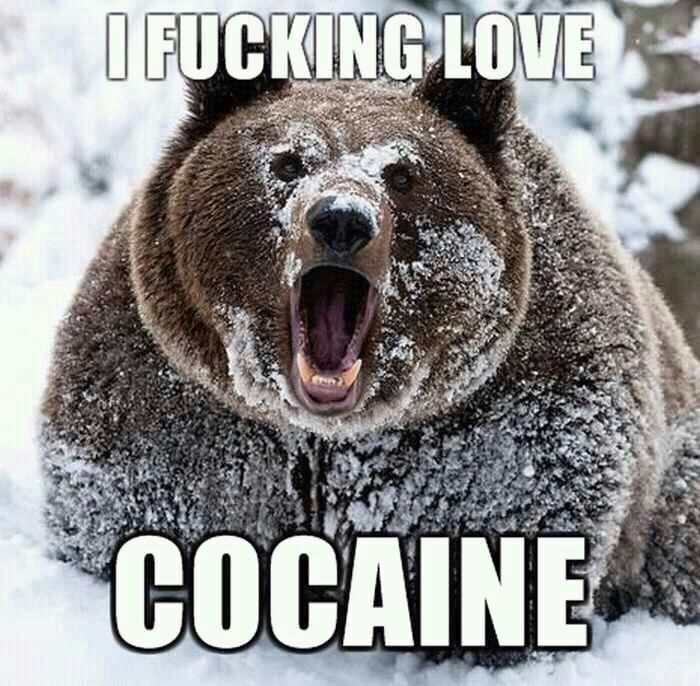 cocaine - meme