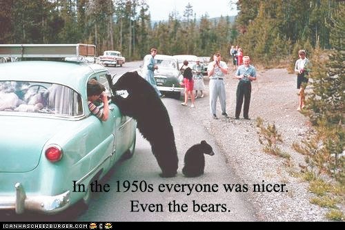Bears... - meme