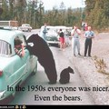 Bears...