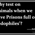 why test animals