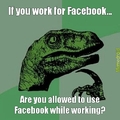 Facebook at work