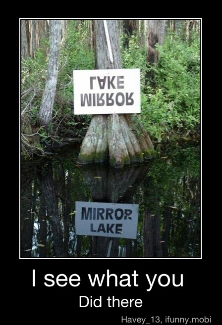 mirror lake - meme