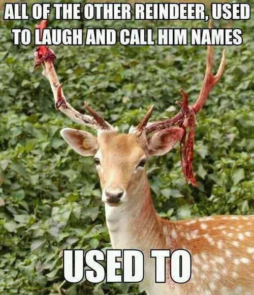 They Sent Rudolph Over The Edge... - meme