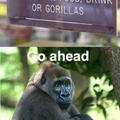 Sad gorilla