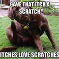 itches love scratches