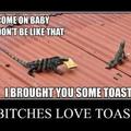 bitches love toast!
