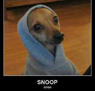 the real snoop dog - meme