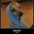 the real snoop dog