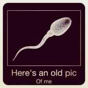 Baby pictures:) - meme