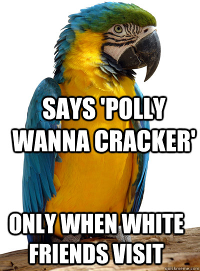 racist parrot! - meme