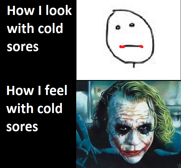 cold sores suck - meme