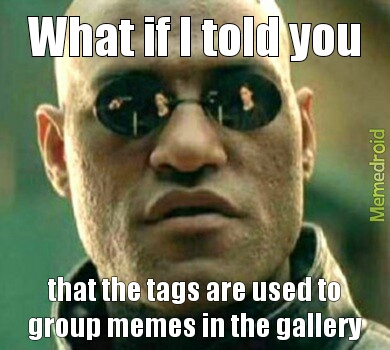 nobody seems to know - meme