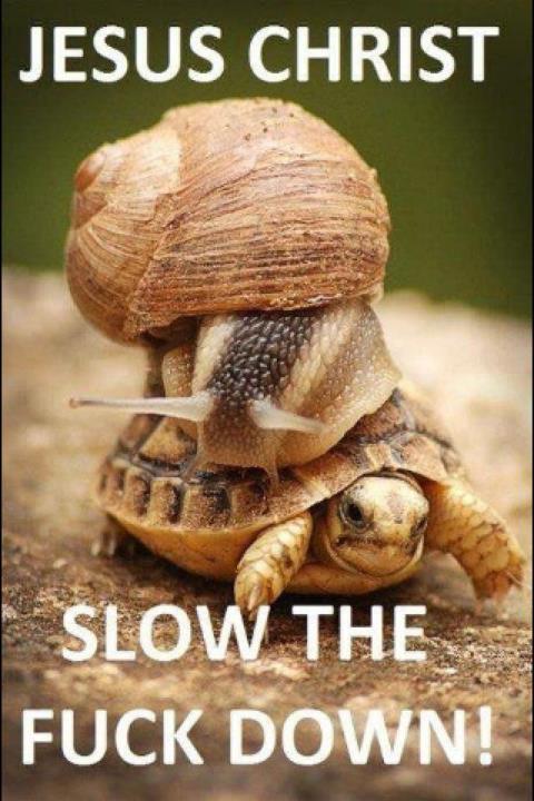 slow down! - meme