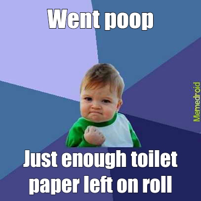 toilet paper - meme