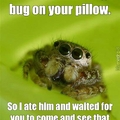 Spider Bro cares.