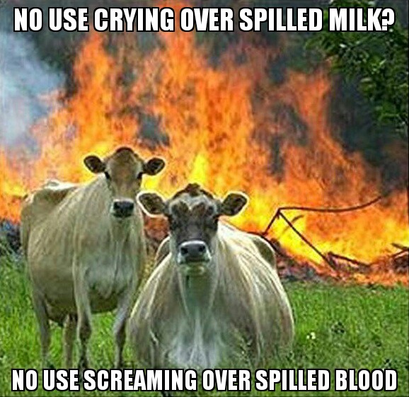 Evil Cows - meme