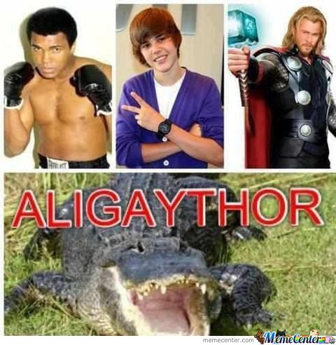 aligaythor - meme