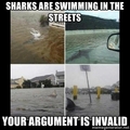 Sharks in the streets