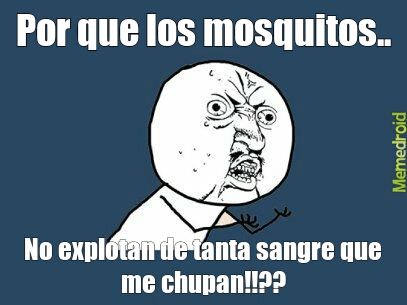 Putos mosquitos - meme