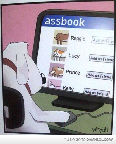 dog facebook - meme