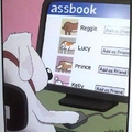 dog facebook