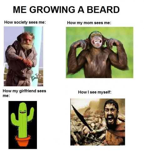 beard - meme