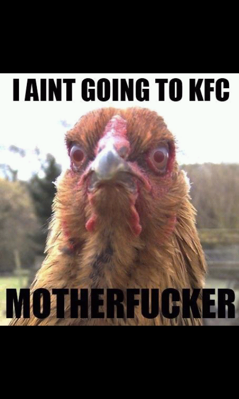 KFC !! - meme