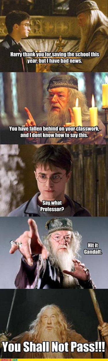 30 Harry Potter Memes That Are Better Than the Second (And Worst