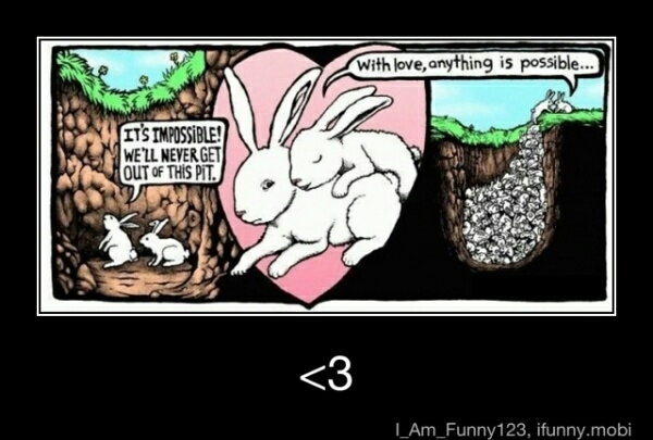 love bunnies <3 - meme