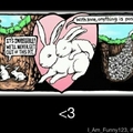 love bunnies <3