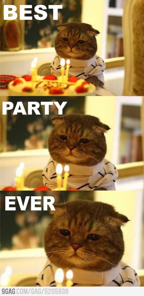 Best.. Party.. Ever - meme