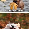 bitches be trippin' over dem leaves