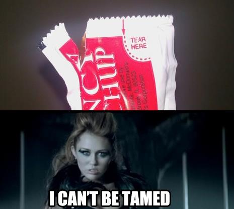 You will never tame me... - meme