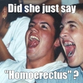 homoerectus