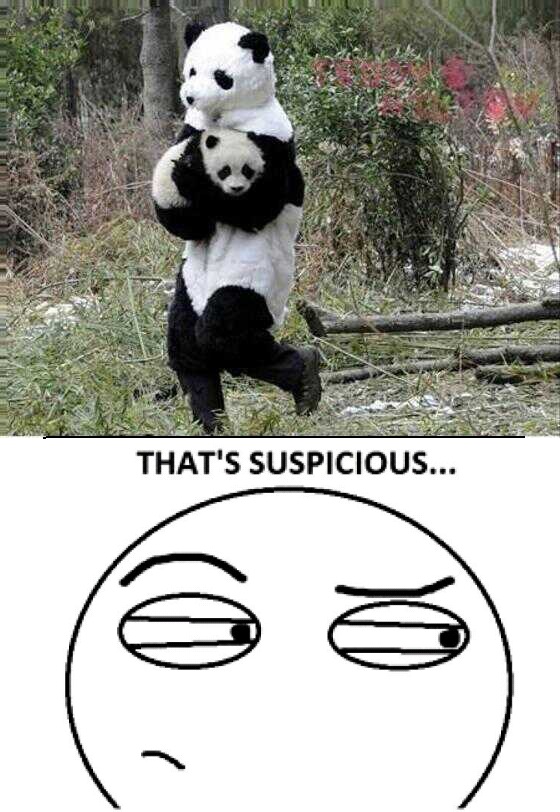 panda raro - meme