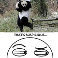 panda raro