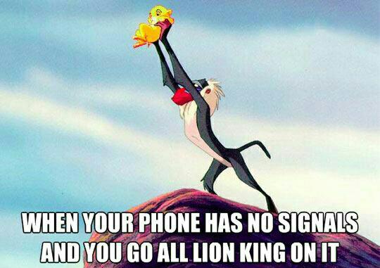 Lion King Reception - meme