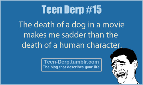 Dog Death): - meme