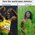 jamaica winners