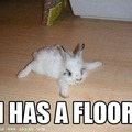 Awh *-* he has a floor