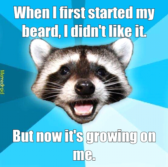 Beard - meme