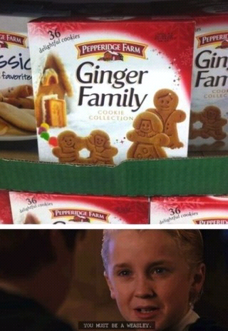 Ginger bread weasley - meme
